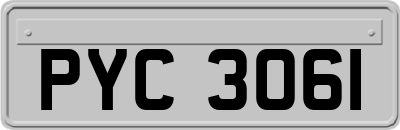 PYC3061