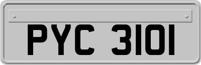 PYC3101