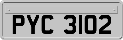 PYC3102