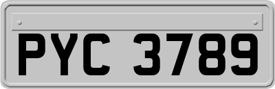 PYC3789