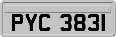 PYC3831