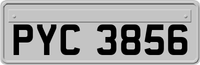 PYC3856