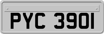 PYC3901