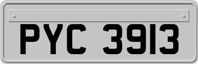 PYC3913