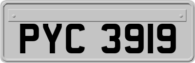 PYC3919