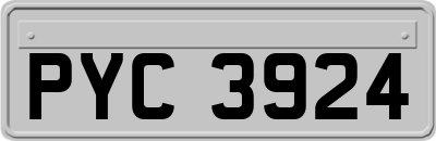 PYC3924