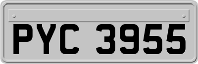 PYC3955