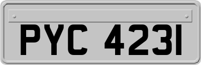 PYC4231