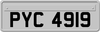 PYC4919