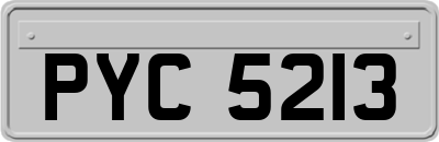 PYC5213