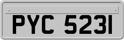 PYC5231