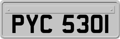 PYC5301