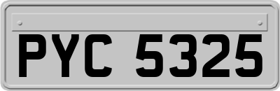 PYC5325