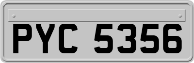 PYC5356