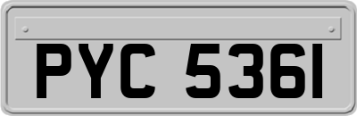 PYC5361