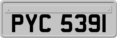 PYC5391