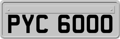 PYC6000