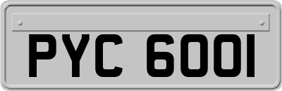 PYC6001