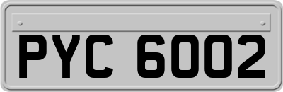 PYC6002