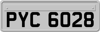 PYC6028