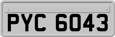 PYC6043