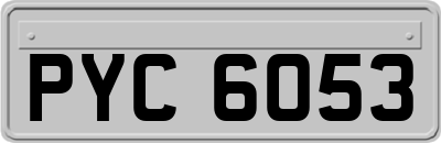 PYC6053