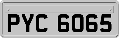 PYC6065