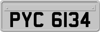 PYC6134