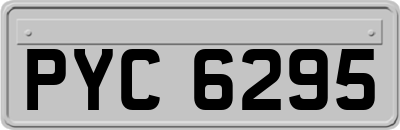 PYC6295