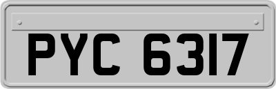 PYC6317