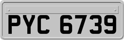 PYC6739