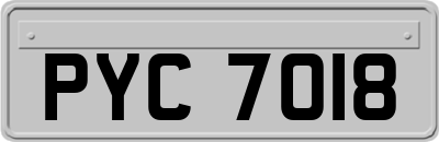 PYC7018