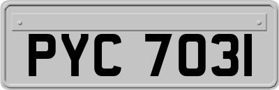 PYC7031