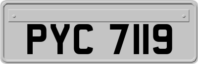 PYC7119