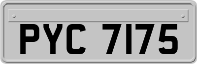 PYC7175