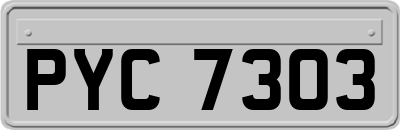 PYC7303