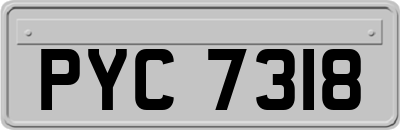 PYC7318