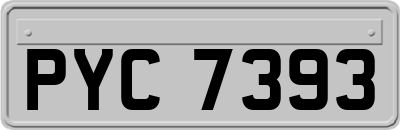 PYC7393