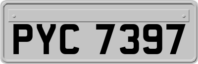 PYC7397