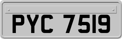 PYC7519