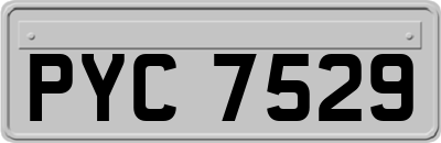 PYC7529