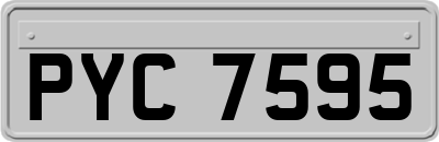 PYC7595