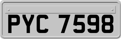 PYC7598