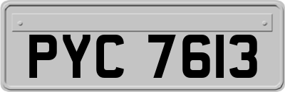 PYC7613