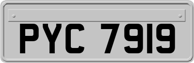 PYC7919