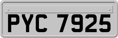 PYC7925