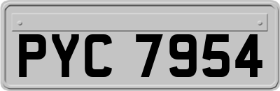 PYC7954