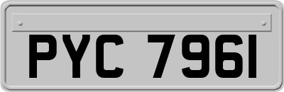 PYC7961