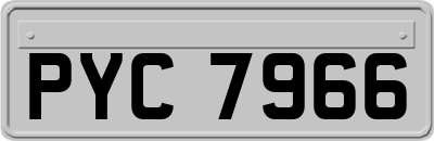 PYC7966