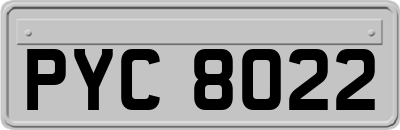 PYC8022